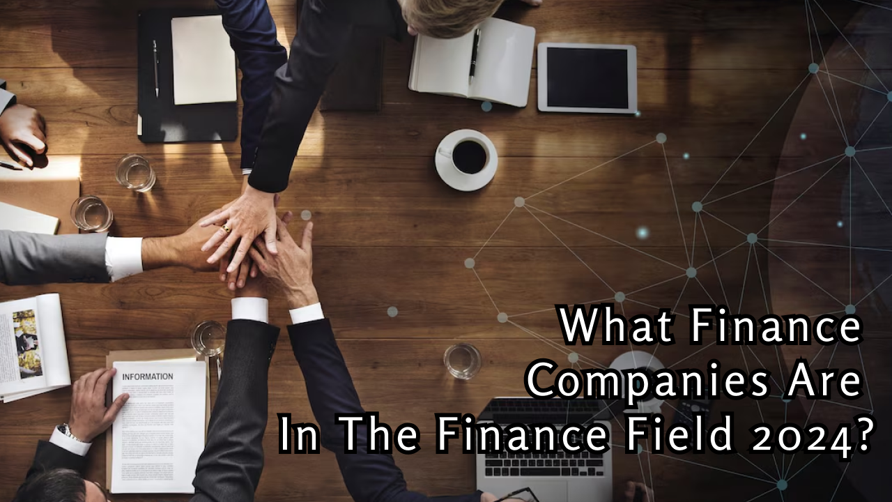 What Finance Companies Are in the Finance Field 2024?